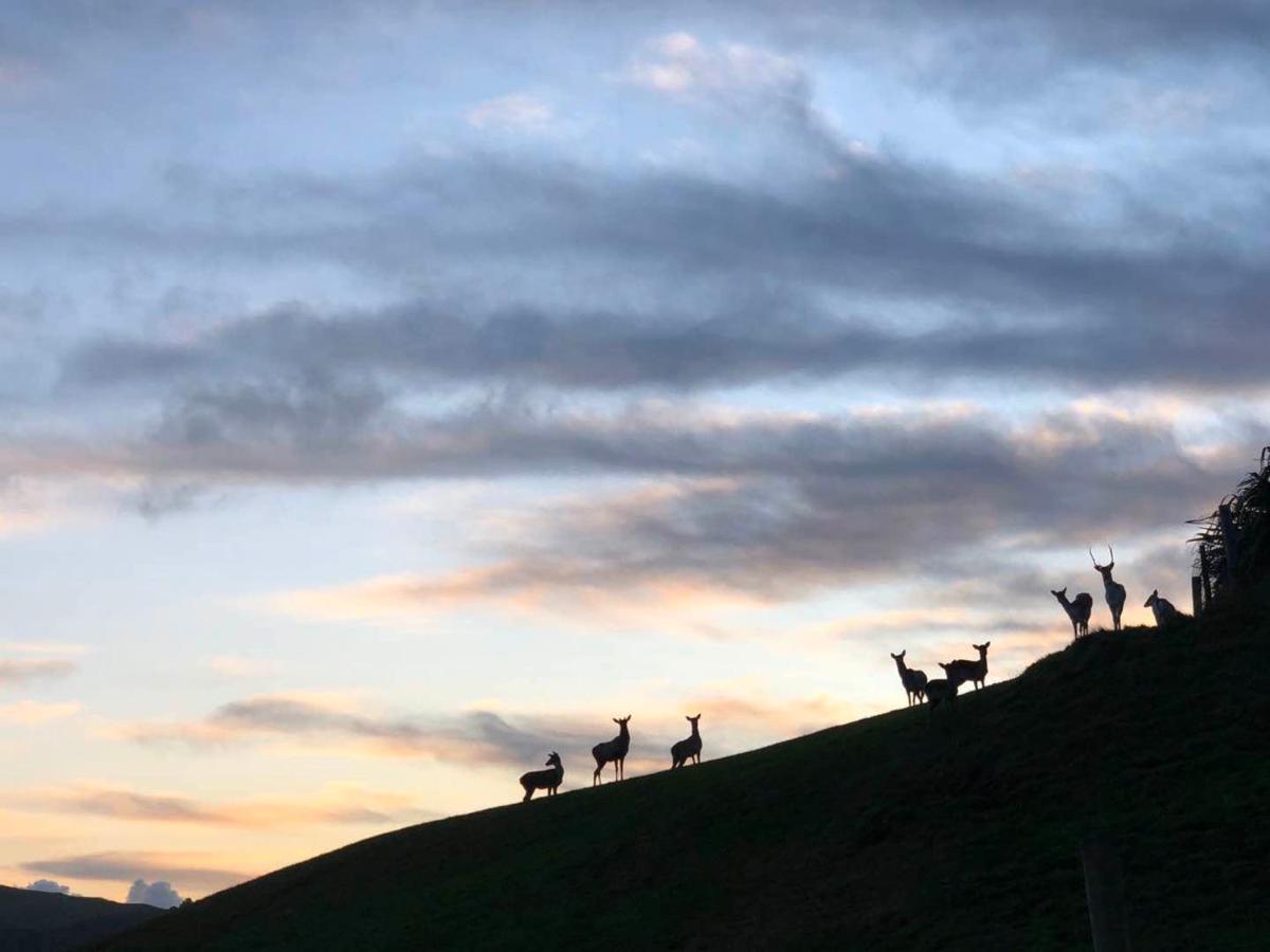 Hilltop Whakaipo Estate เทาโป ภายนอก รูปภาพ