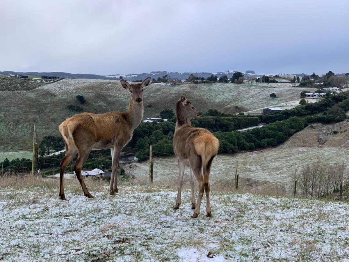 Hilltop Whakaipo Estate เทาโป ภายนอก รูปภาพ