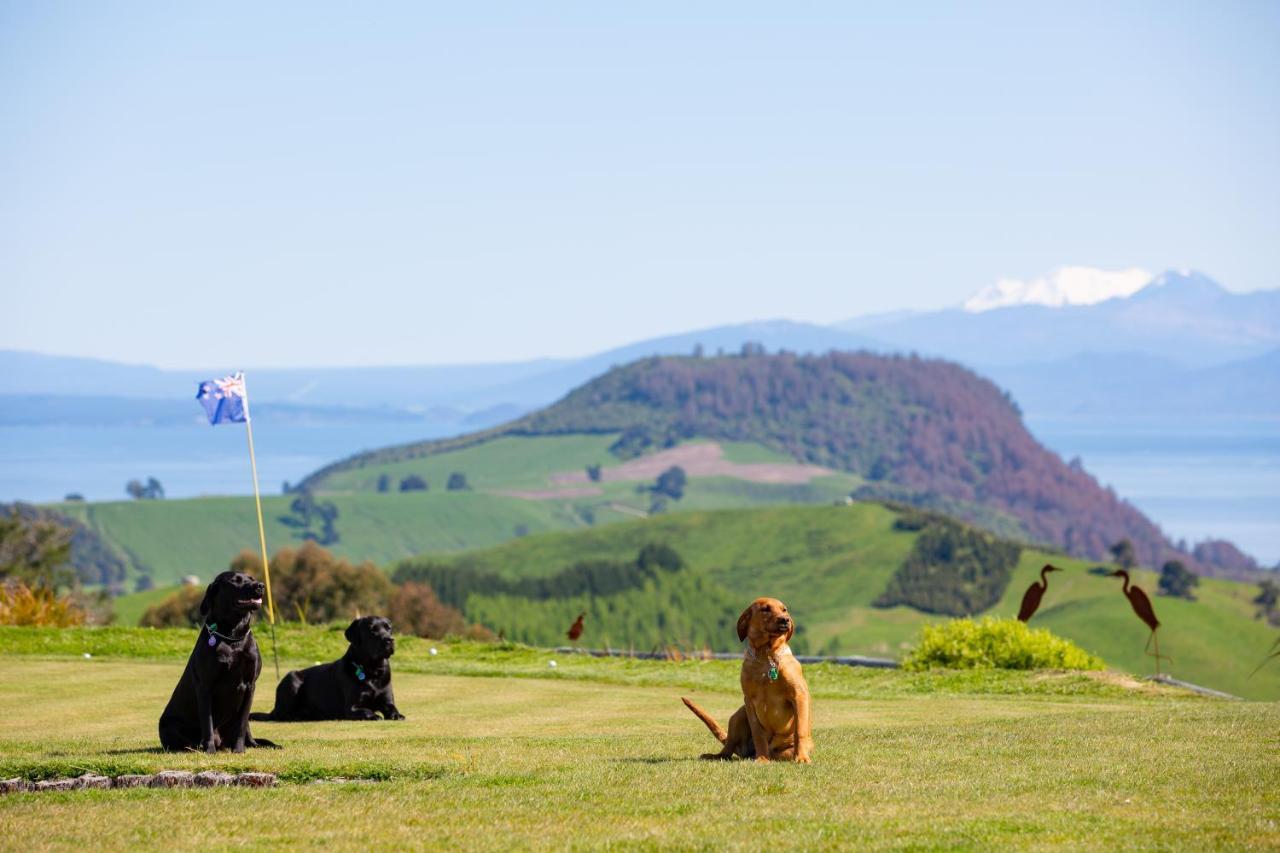 Hilltop Whakaipo Estate เทาโป ภายนอก รูปภาพ