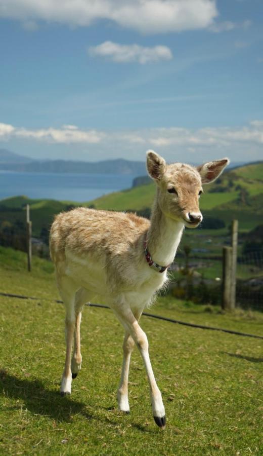 Hilltop Whakaipo Estate เทาโป ภายนอก รูปภาพ
