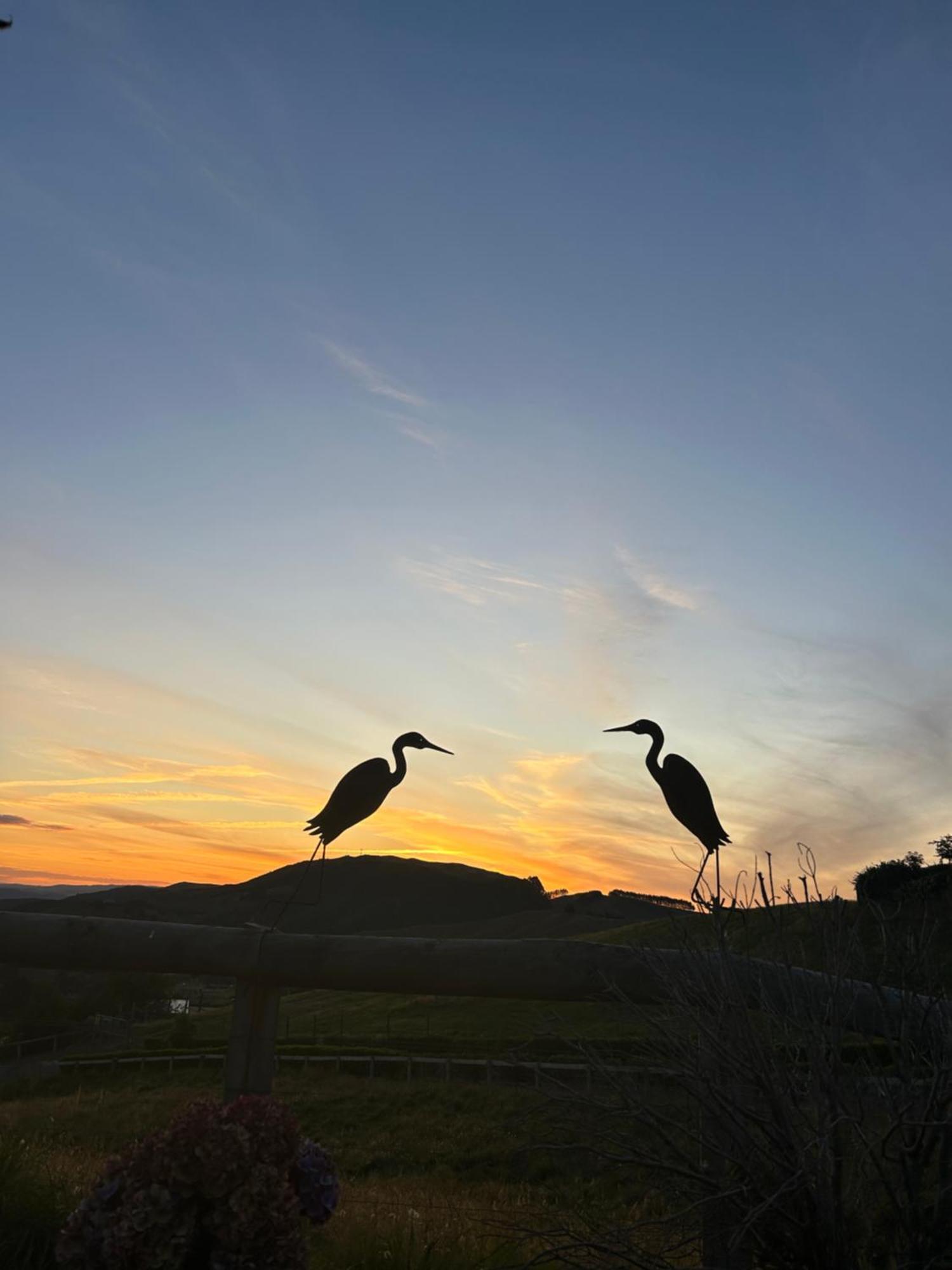Hilltop Whakaipo Estate เทาโป ภายนอก รูปภาพ