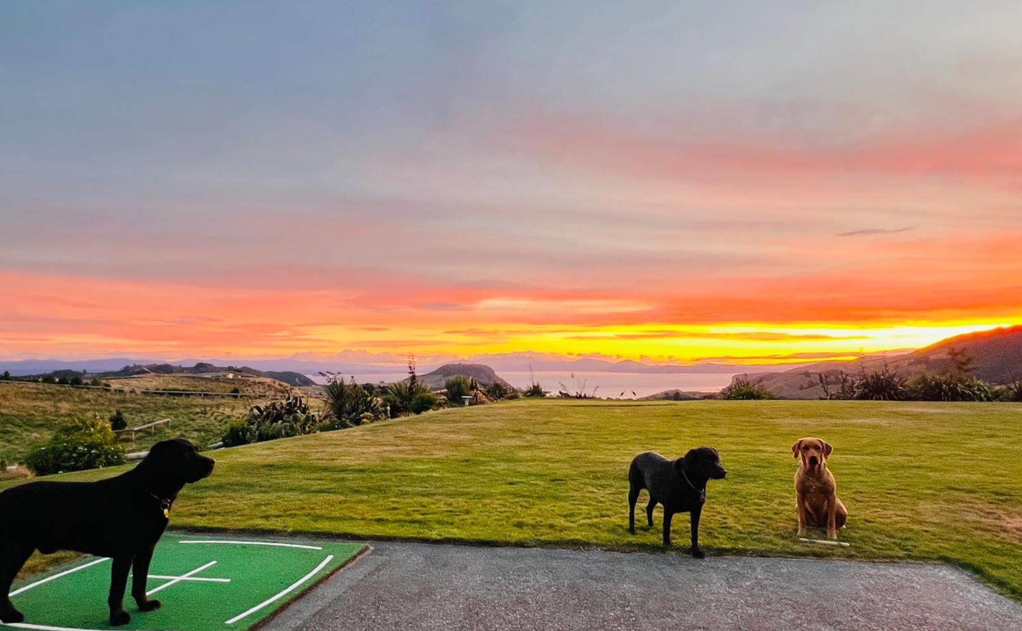 Hilltop Whakaipo Estate เทาโป ภายนอก รูปภาพ