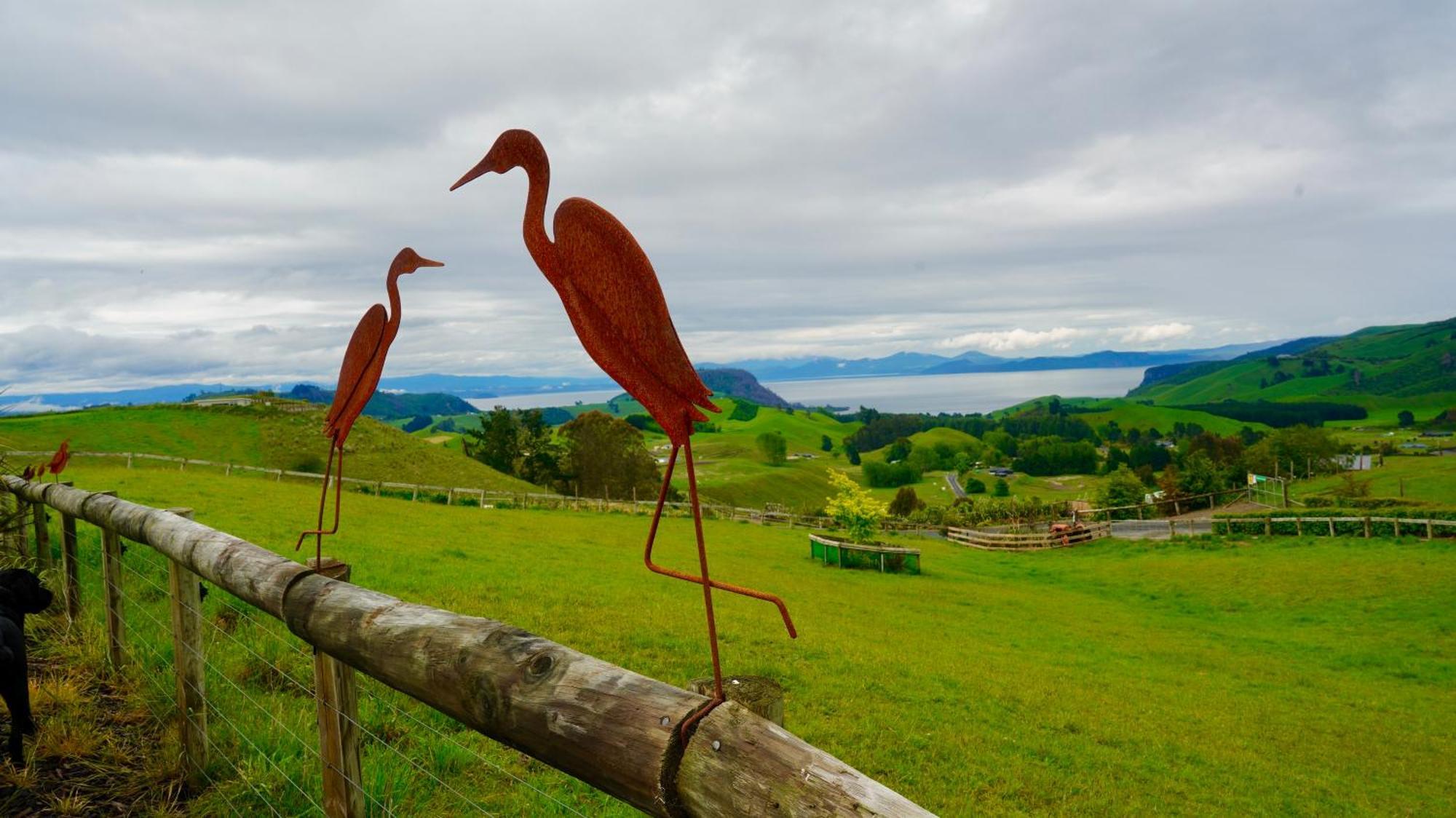 Hilltop Whakaipo Estate เทาโป ภายนอก รูปภาพ
