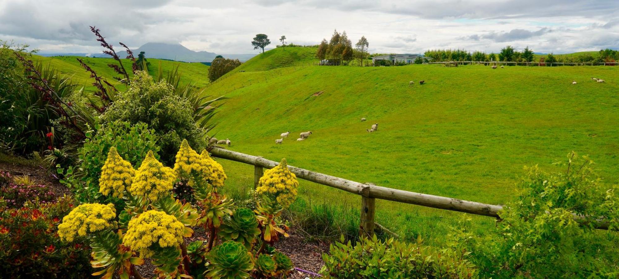 Hilltop Whakaipo Estate เทาโป ภายนอก รูปภาพ