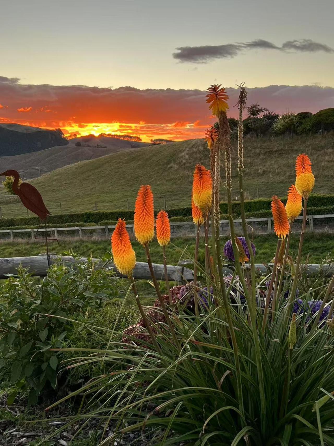 Hilltop Whakaipo Estate เทาโป ภายนอก รูปภาพ